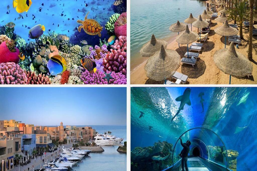 201Sheraton Plaza Hurghada Eksteriør bilde