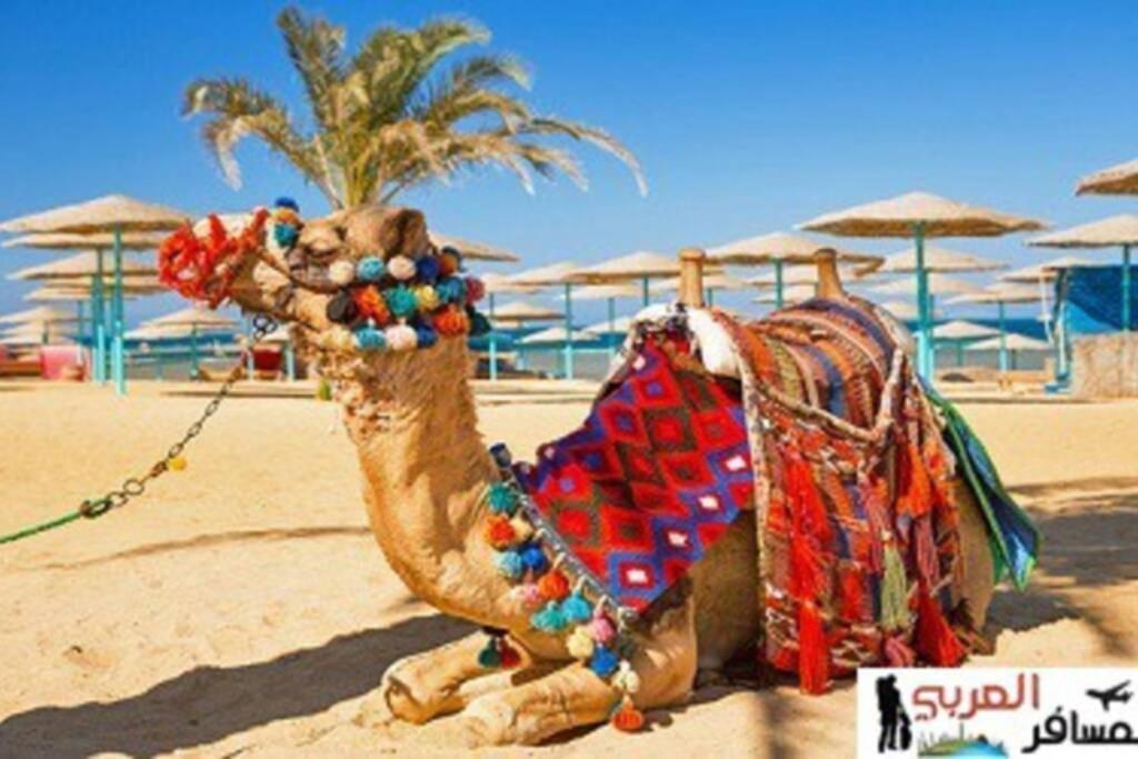 201Sheraton Plaza Hurghada Eksteriør bilde